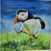 The Puffin Walk - Image 3