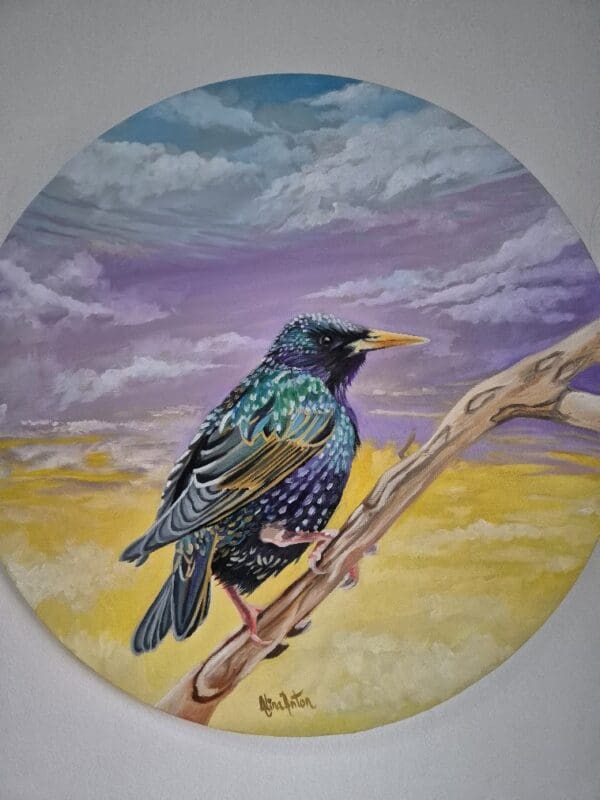 Resting Starling