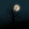 How to Paint the Night Sky: Tips for Creating Stars, Moon, and Deep Space