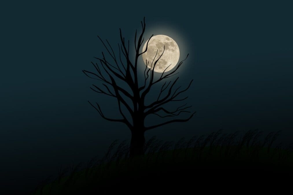 How to Paint the Night Sky: Tips for Creating Stars, Moon, and Deep Space