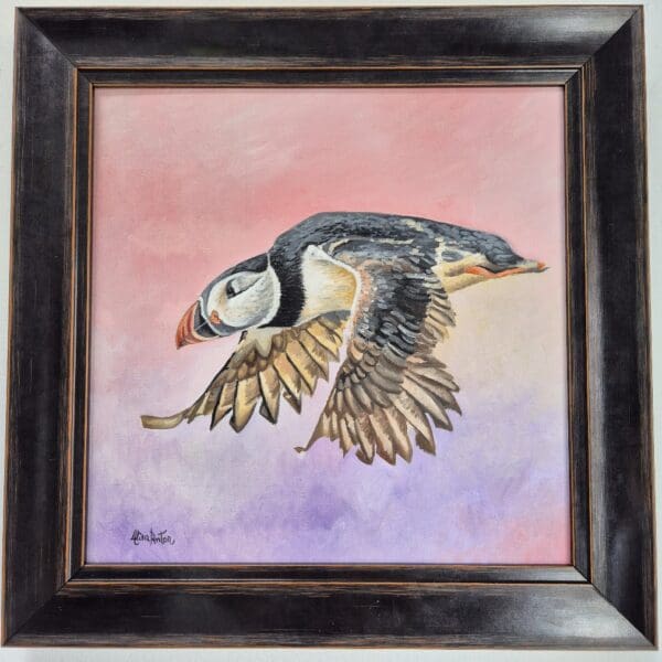Puffin in flight - Image 2
