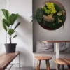Moss Forest Circle - Image 2