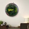 Moss Forest Circle - Image 3