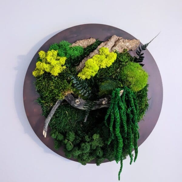 Moss Forest Circle - Image 4