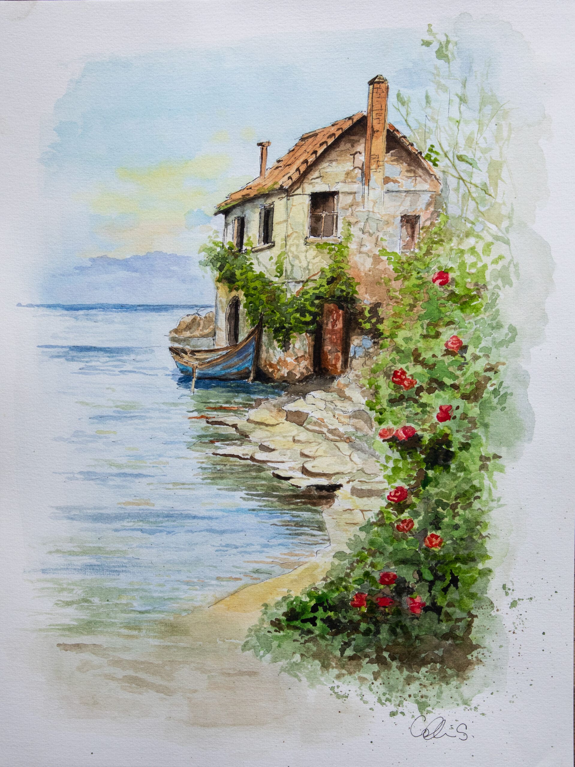 Coast