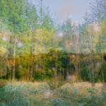 I heard the woodland murmurs like a hymn