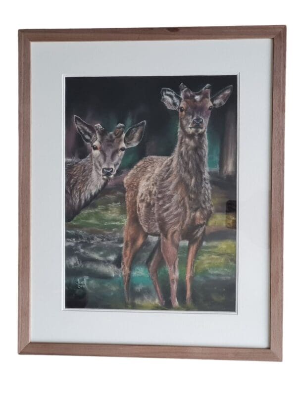Framed pastel painting of two deer standing quietly among trees in a forest setting. The artwork is highly detailed, featuring soft natural tones, realistic fur textures, and gentle light filtering through foliage. Professionally framed with a double mount and glass.