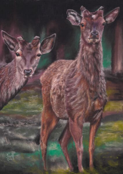 Framed pastel painting of two deer standing quietly among trees in a forest setting. The artwork is highly detailed, featuring soft natural tones, realistic fur textures, and gentle light filtering through foliage. Professionally framed with a double mount and glass.