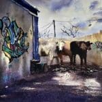 ''Art of Arts i'' - Giclee Fine Art Print