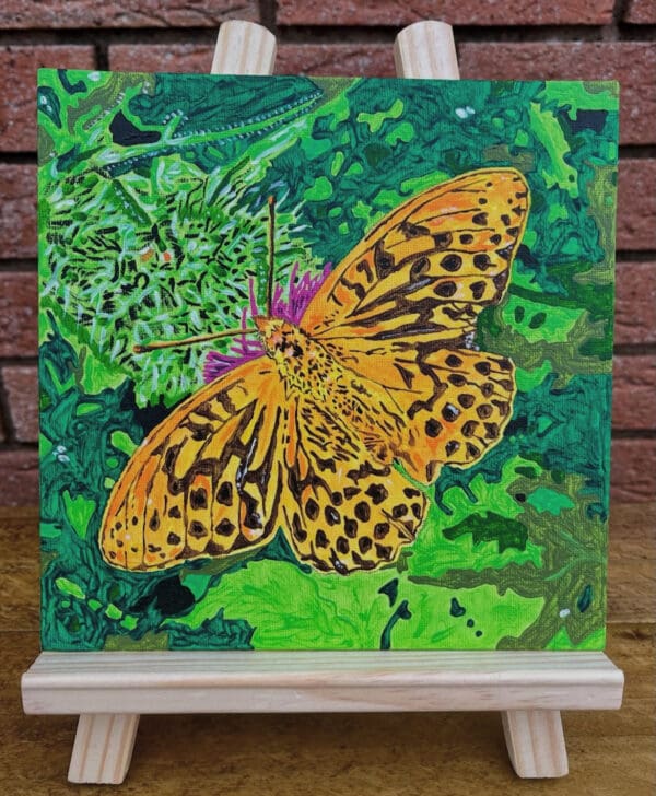 Butterfly