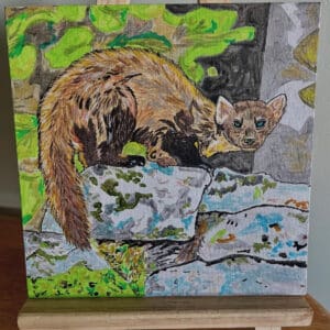 Pine Martin