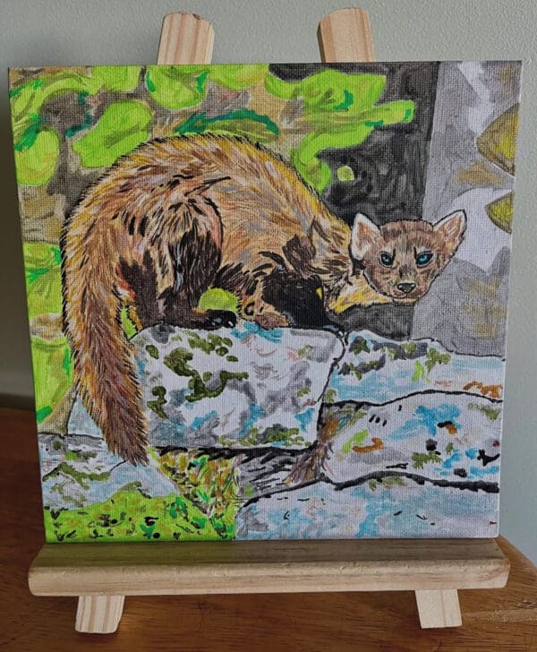 Pine Martin