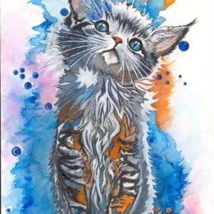 Kitten
