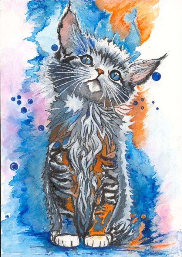 Kitten