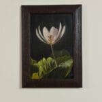 Lone bloom