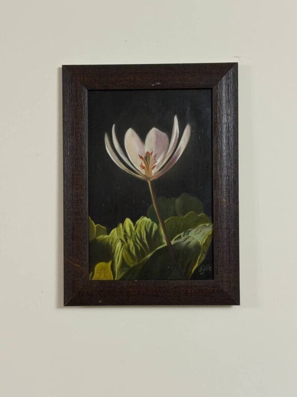 Lone bloom