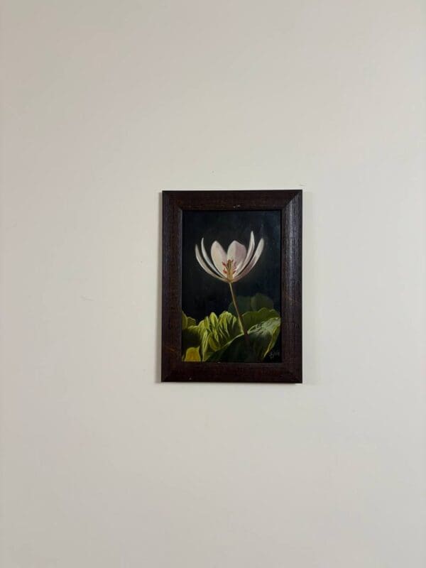 Lone bloom - Image 2
