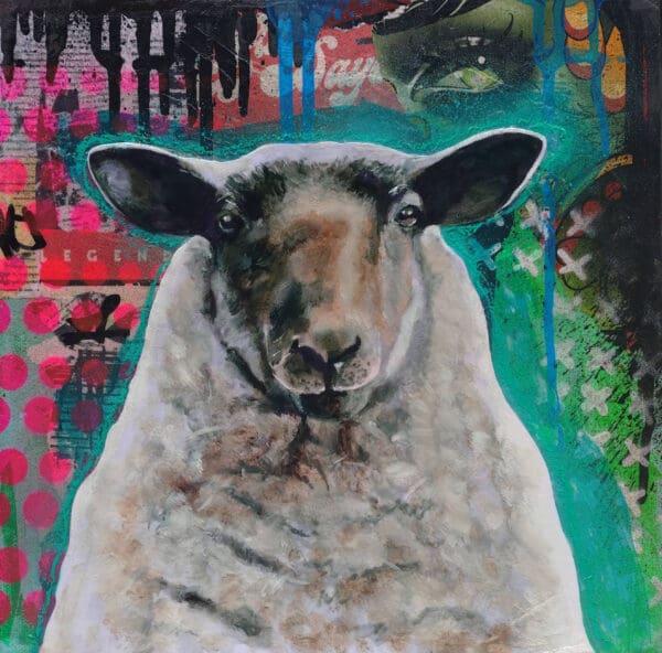 Mr Sheep