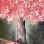 Cherry Blossom