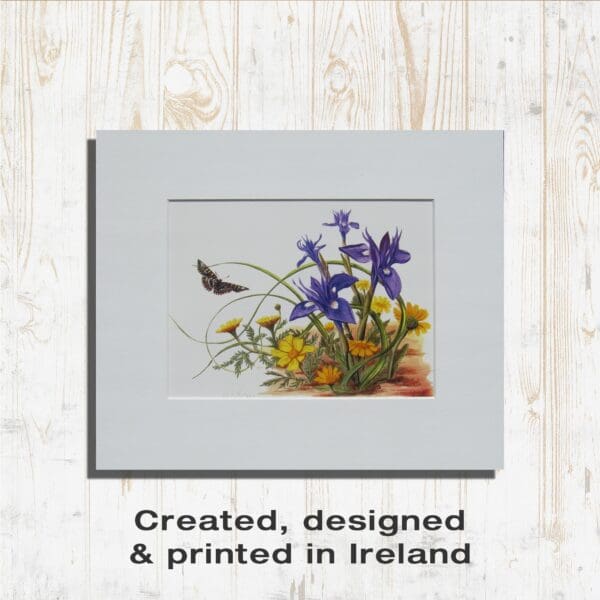 Wild Irises and Corn Marigolds Print Created in Ireland