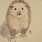 Optimum Opossum