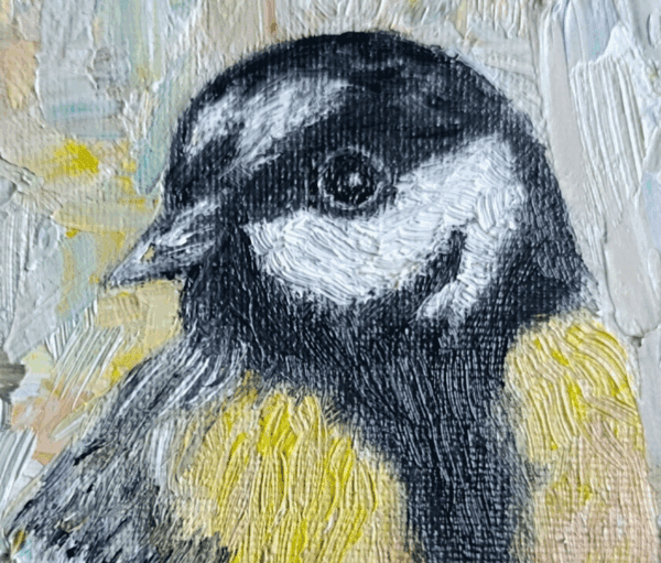 Tomtit - Image 2