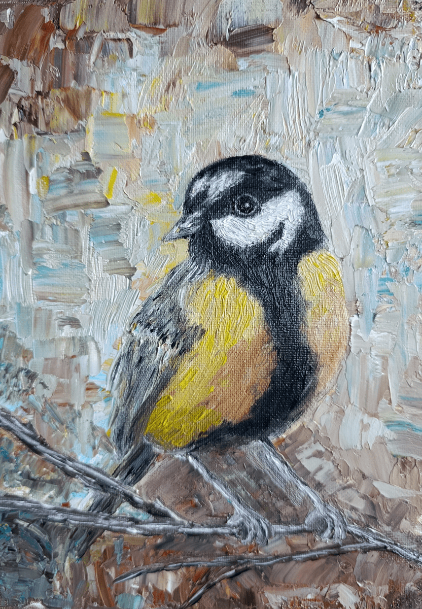 Tomtit