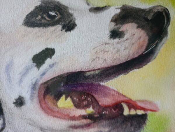 Dalmatian - Image 2