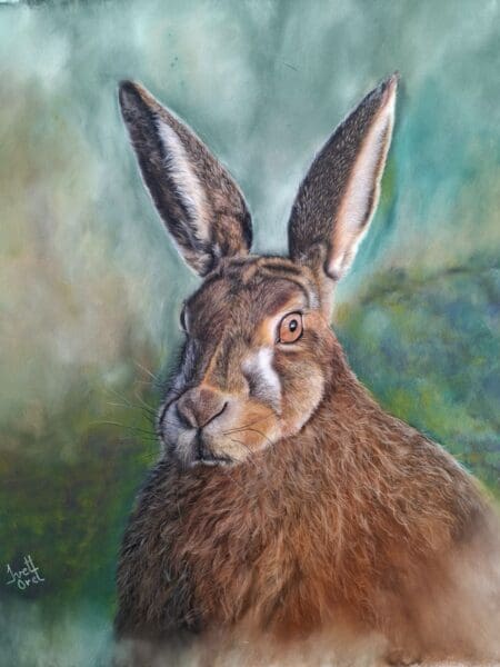 In the Meadow - Original soft pastel wildlife hare portrait