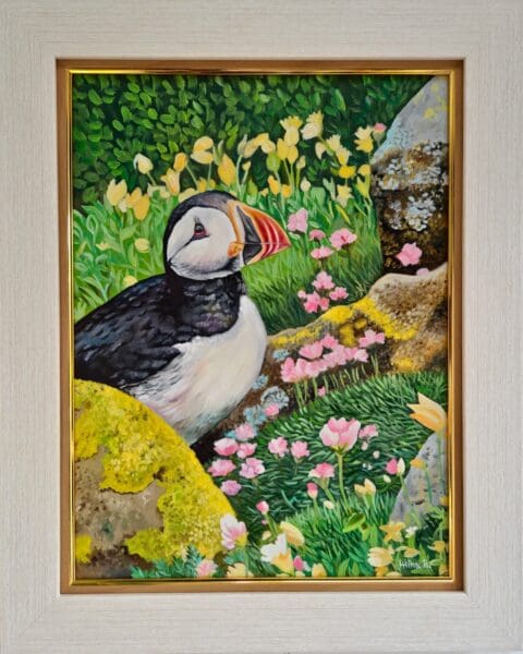 Puffin at Saltee Island