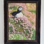 Puffin in Sea pinks