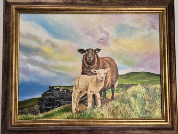 Lamb and Sheep at Cliffs of Moher