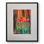 Where the headgehog dreamed