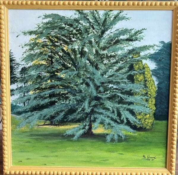 Stunning Tree in an Irish Garden