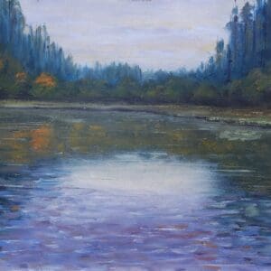 castle lake bailieboro