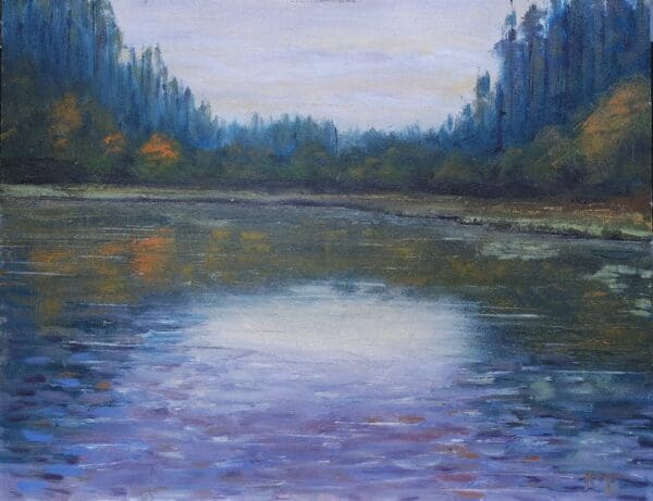 castle lake bailieboro