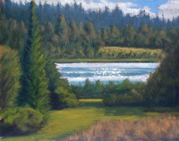 hilton park lake monaghan