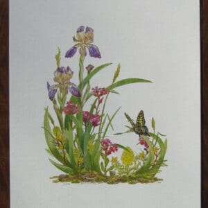 Elder Scented Iris Print