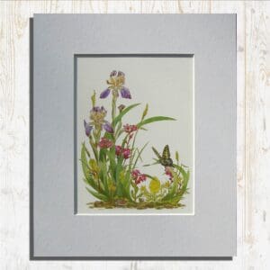 Elder Scented Iris Print Primary