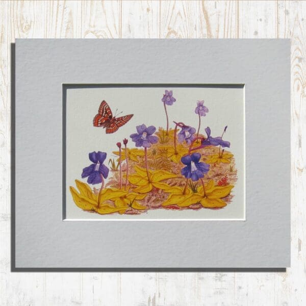 Sweet Cork of Thee Print Primary