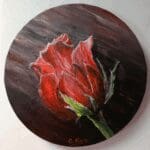 Black & Red