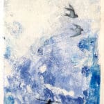 Storm Petrels at Sea