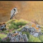 Morning Sun at Clogherhead, Co.Louth