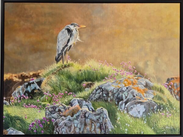 Morning Sun at Clogherhead, Co.Louth