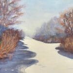 Irish landscape with a canal in winter