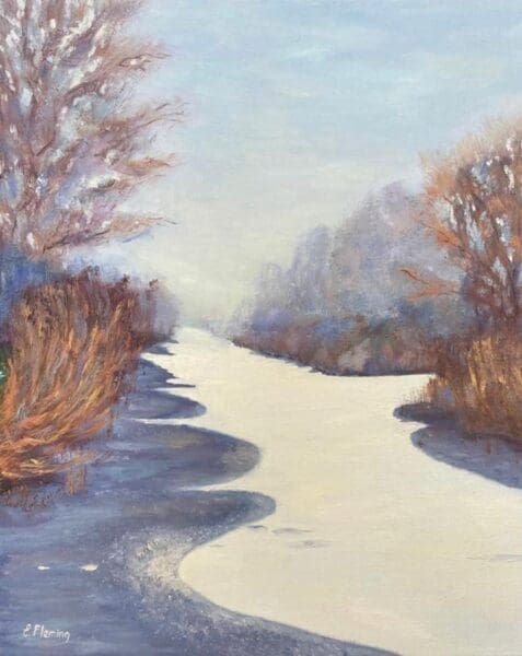 Irish landscape with a canal in winter
