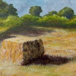 Field with a golden haybale