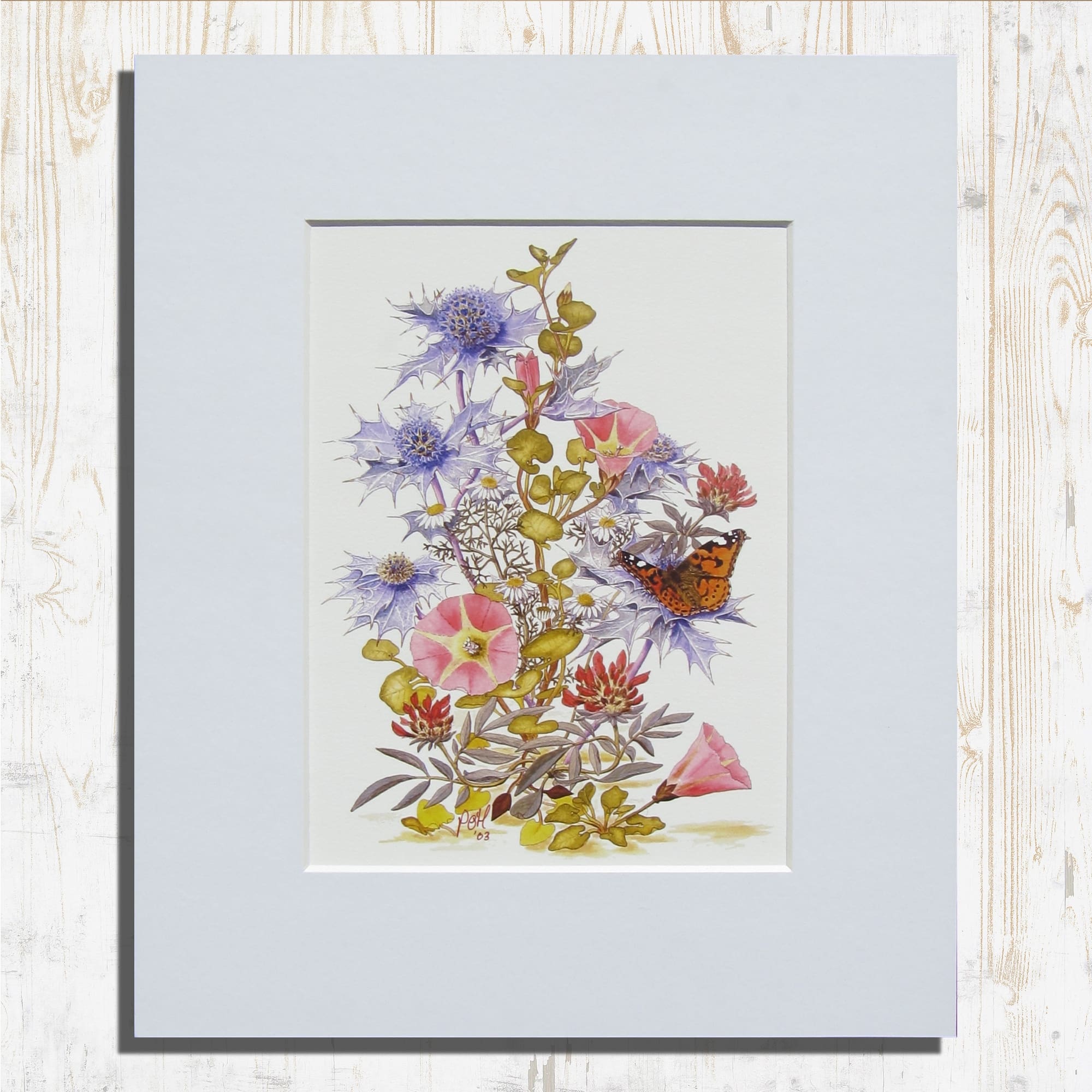Print of Wildflowers on Dunes in West Cork by Patrick O’Hara | Botanical Art | Print of Watercolour