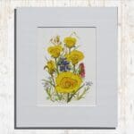 Yellow Mariposa Lilies Print Primary