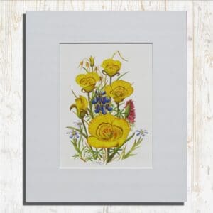 Yellow Mariposa Lilies Print Primary